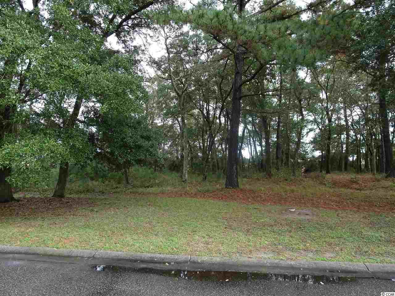 Lot 18 and Grackle Ln. Pawleys Island, SC 29585