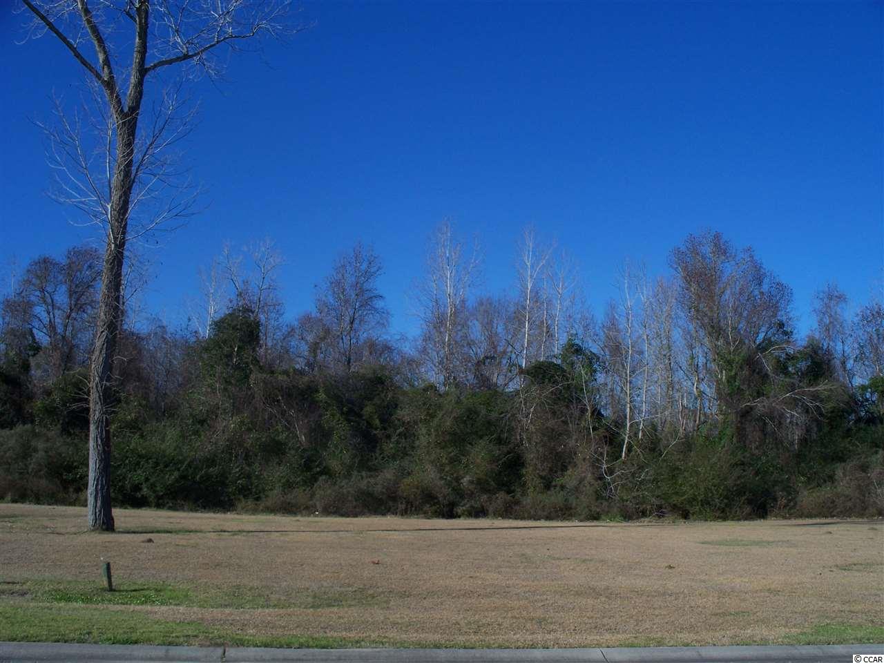 Lot 197 Marsh Island Dr. Myrtle Beach, SC 29579