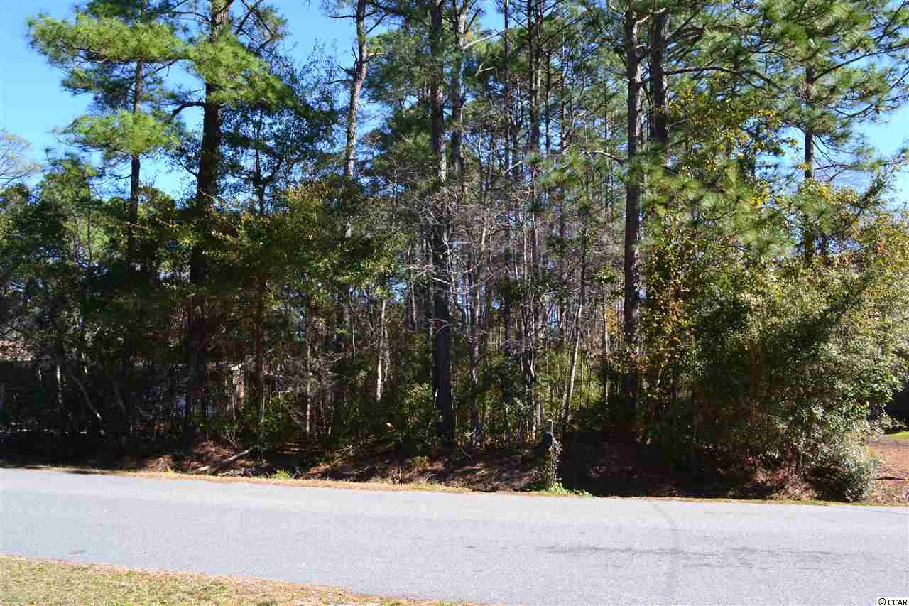 Lot 10 Old Ashley Loop Pawleys Island, SC 29585