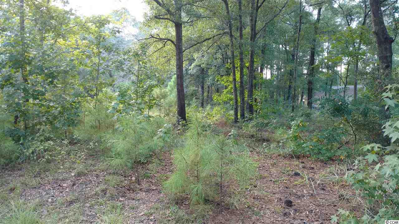 Lot CC Lake Trail Pawleys Island, SC 29585