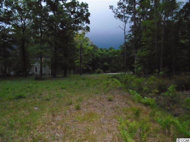 Lot 5 Brookgreen Trace Pl. Pawleys Island, SC 29585