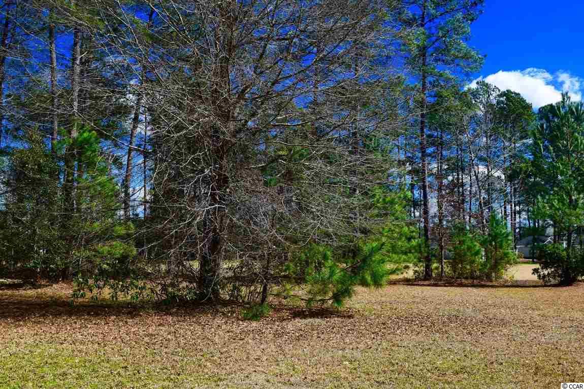 105 Dorset Pl. Conway, SC 29526
