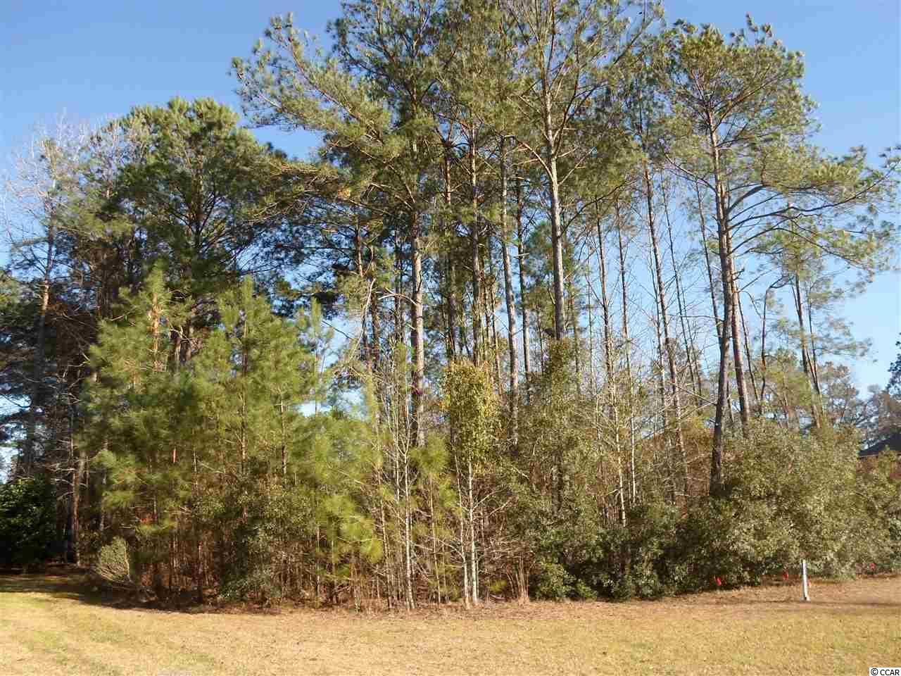 Lot 213 Waterhall Dr. Murrells Inlet, SC 29576