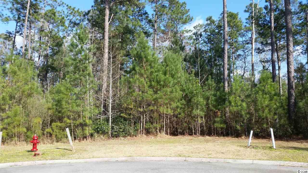 Lot 66 Timber Creek Dr. Loris, SC 29569