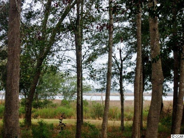 Channel Cat Cove Murrells Inlet, SC 29576