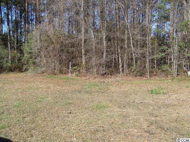 Lot 5 Hemphill Pl. Conway, SC 29527