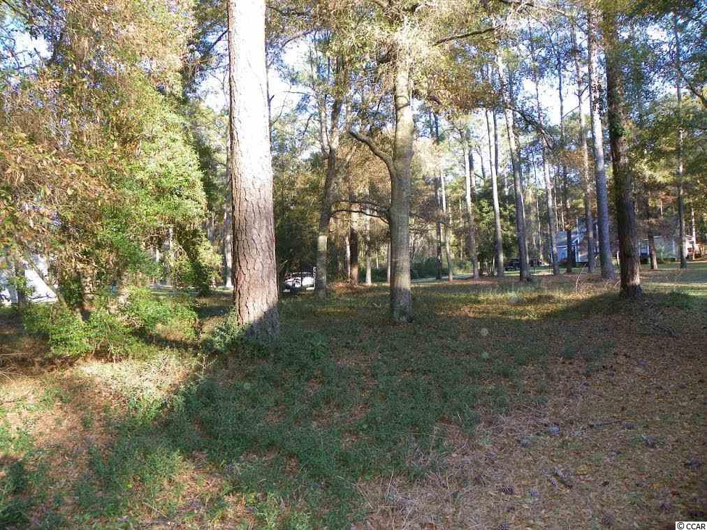 9024 SW Forest Dr. Sunset Beach, NC 28468