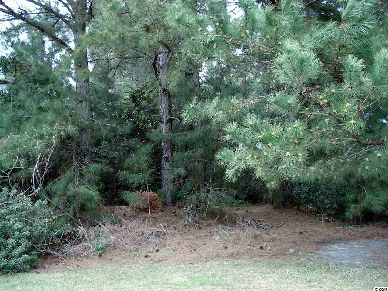 Lot 134 Clandon Dr. Myrtle Beach, SC 29579