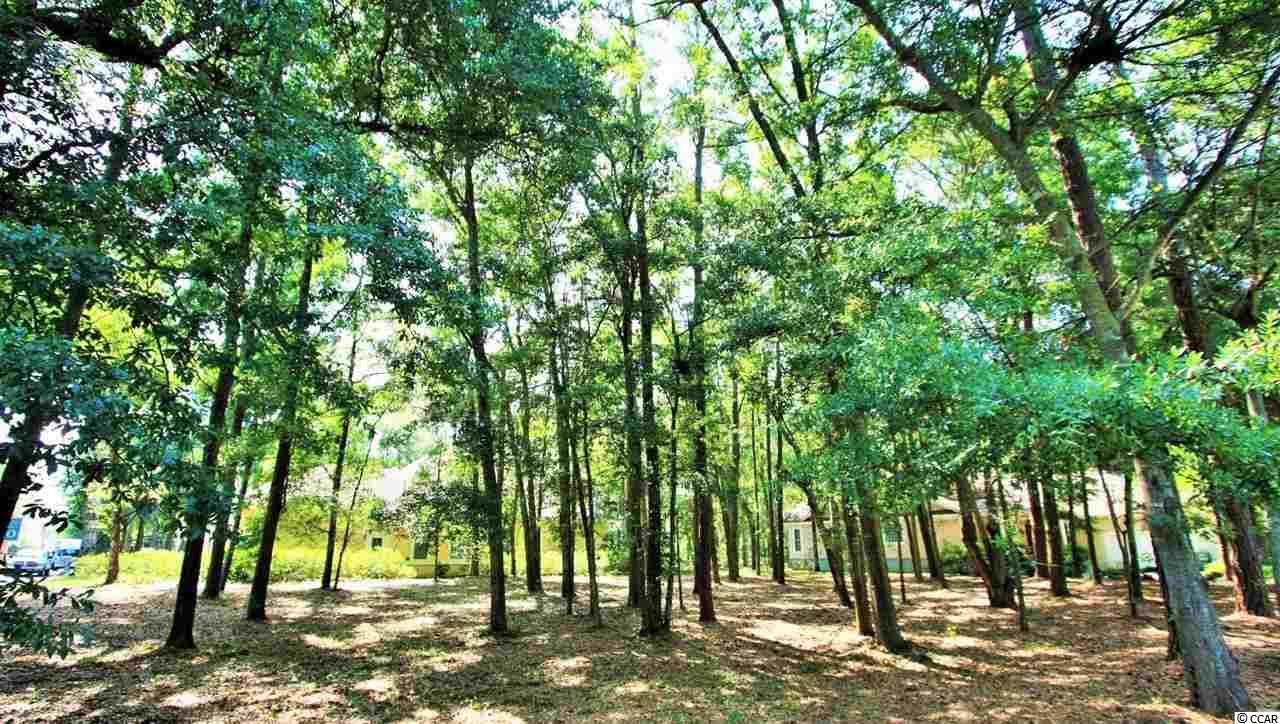 Lot 676 Bucks Bluff Dr. North Myrtle Beach, SC 29582