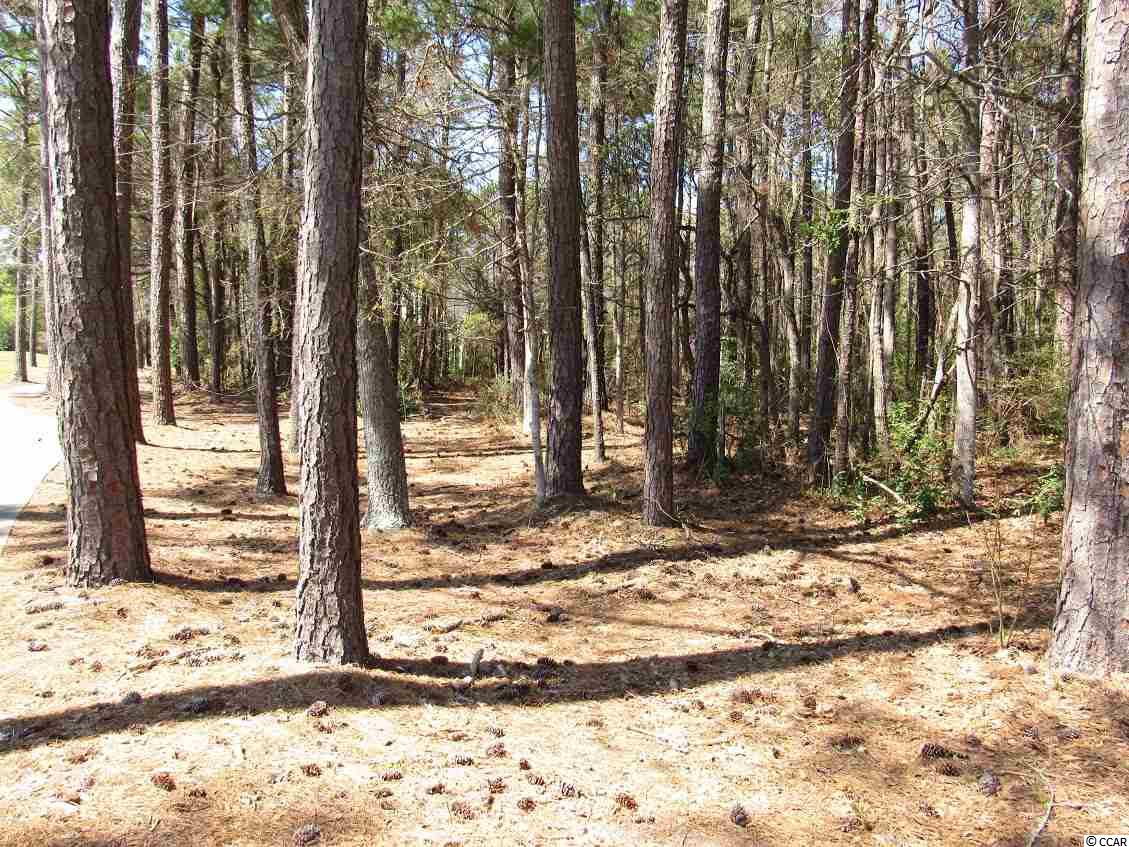 Lot 11 Cameron Ct. Pawleys Island, SC 29585