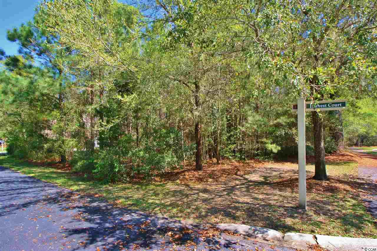 14 Harvest Ct. Pawleys Island, SC 29585