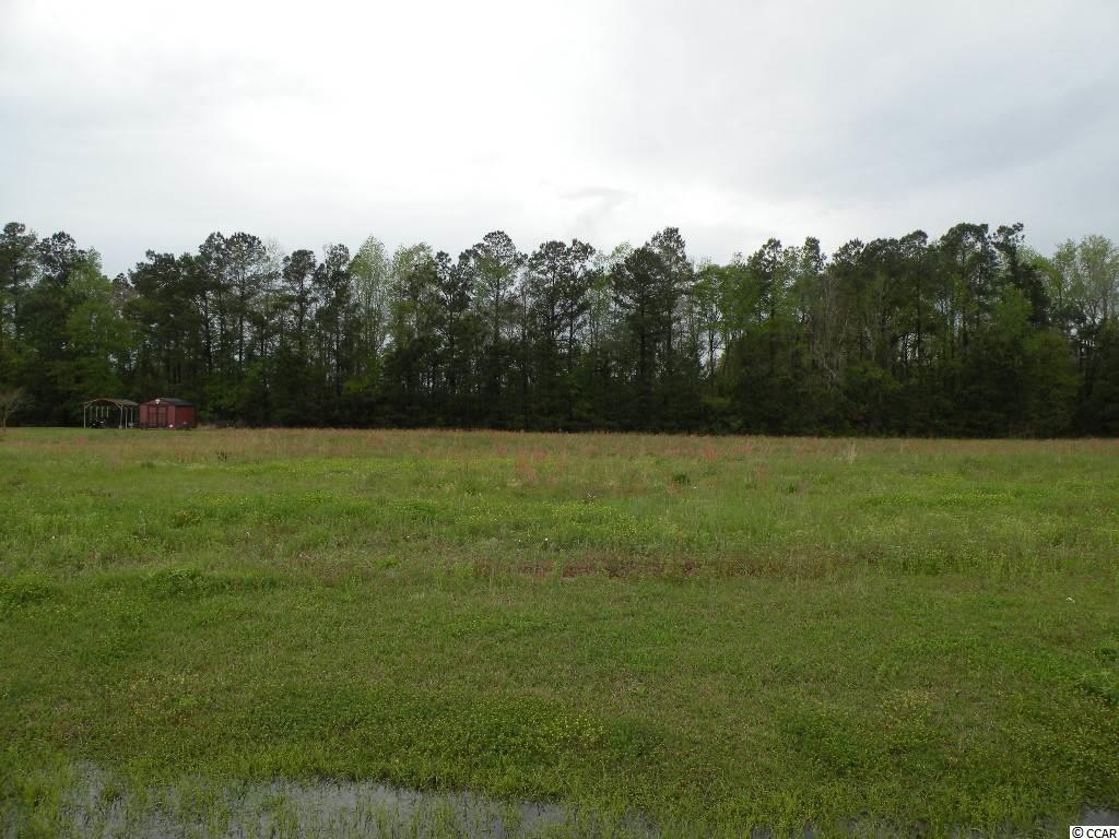 Lot 52 Little Lake Ln. Conway, SC 29526