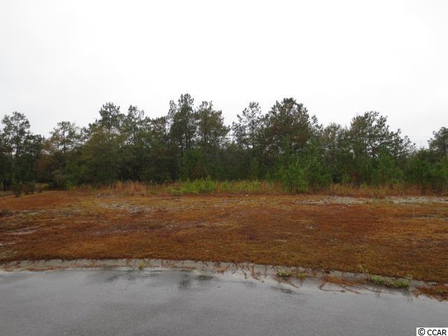 Lot 67 Marsh Tacky Loop Myrtle Beach, SC 29588