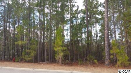 Lot 25 Hunters Trail Myrtle Beach, SC 29588