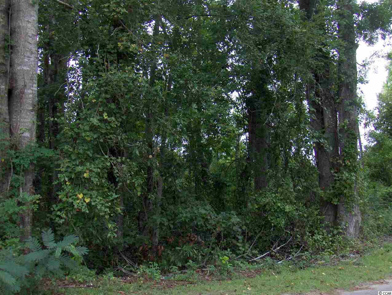Lot 6 Beverly Rd. Conway, SC 29527