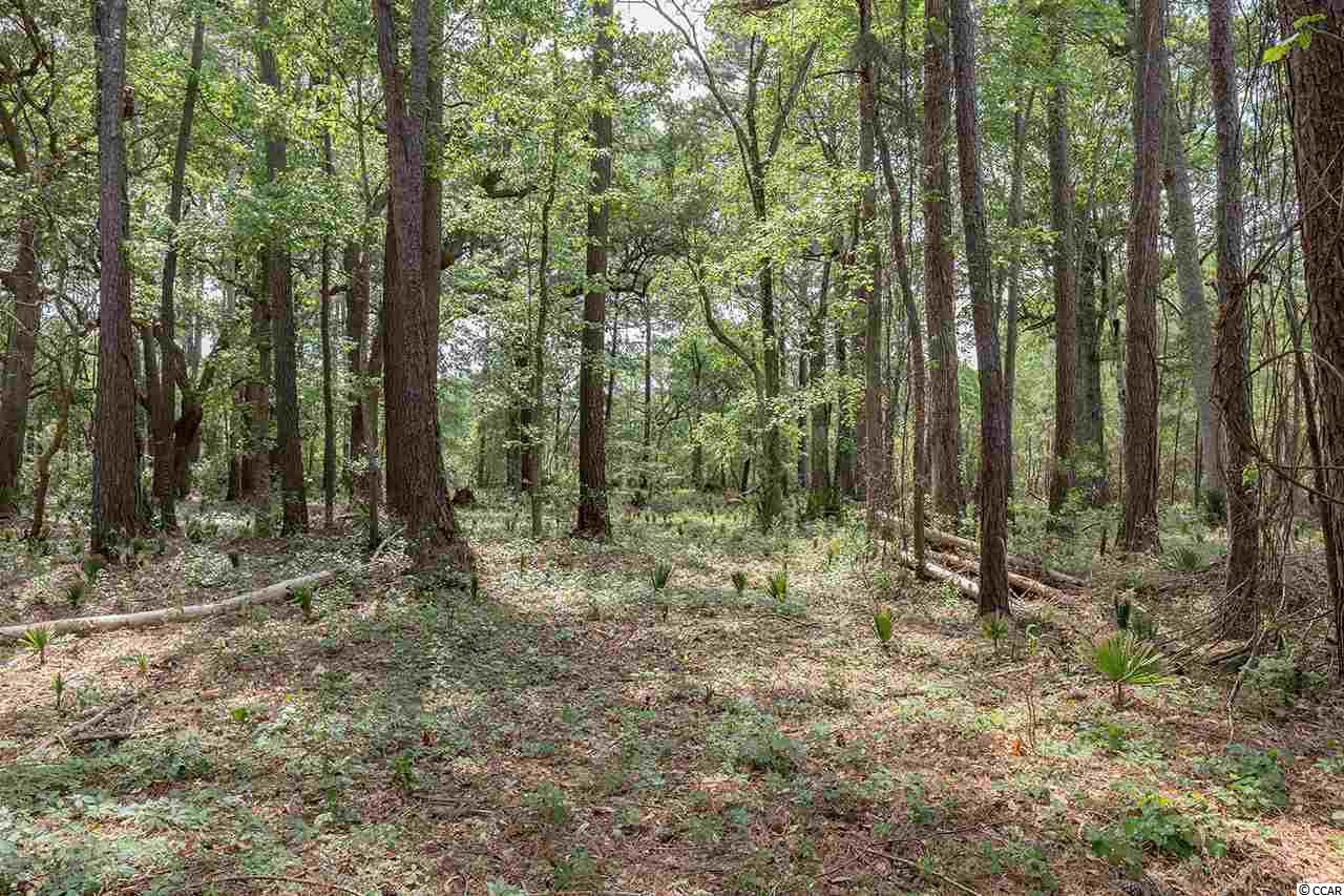 Lot 32 Old Carriage Loop Georgetown, SC 29440