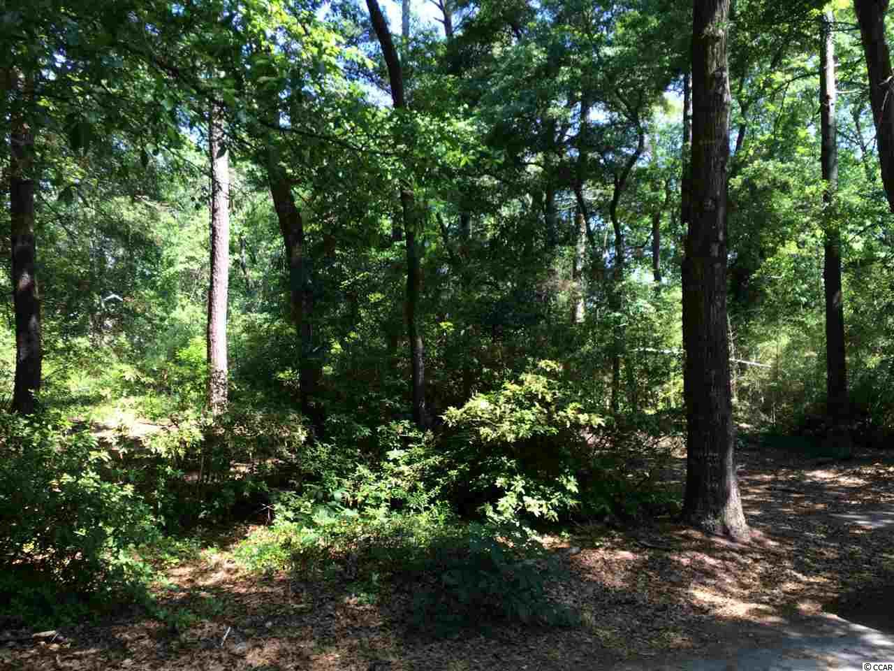 LOT 2 Lakeside Dr. Little River, SC 29566