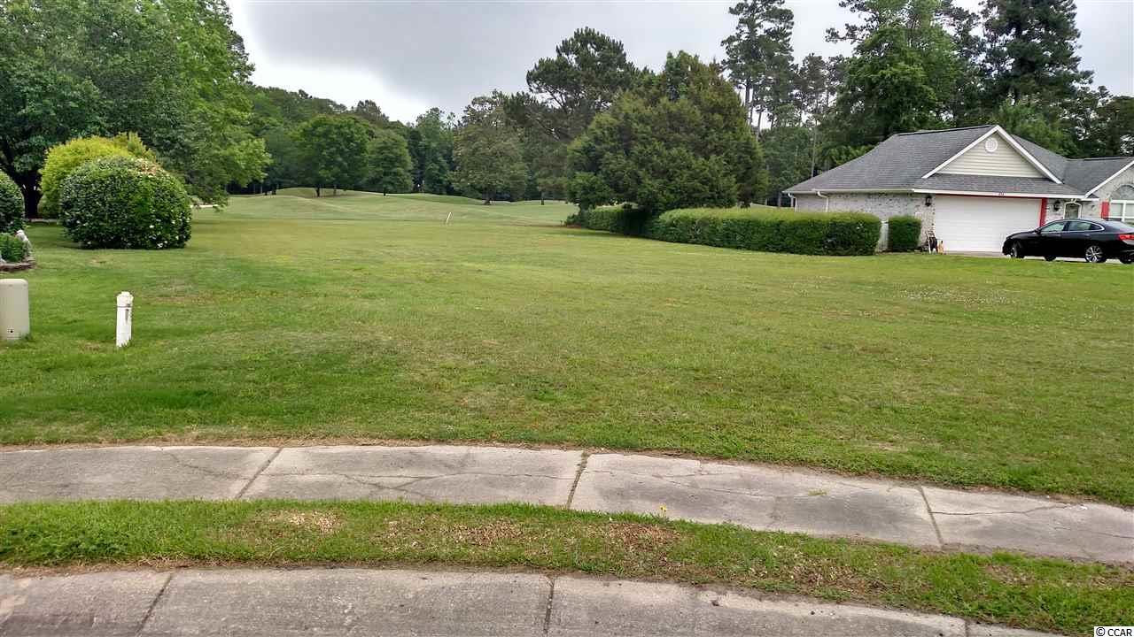 428 Meadow View Ct. Longs, SC 29568