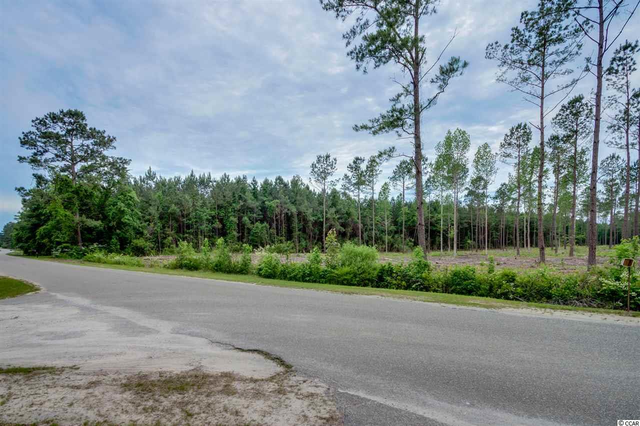 TBD East Bear Grass Rd. Longs, SC 29568