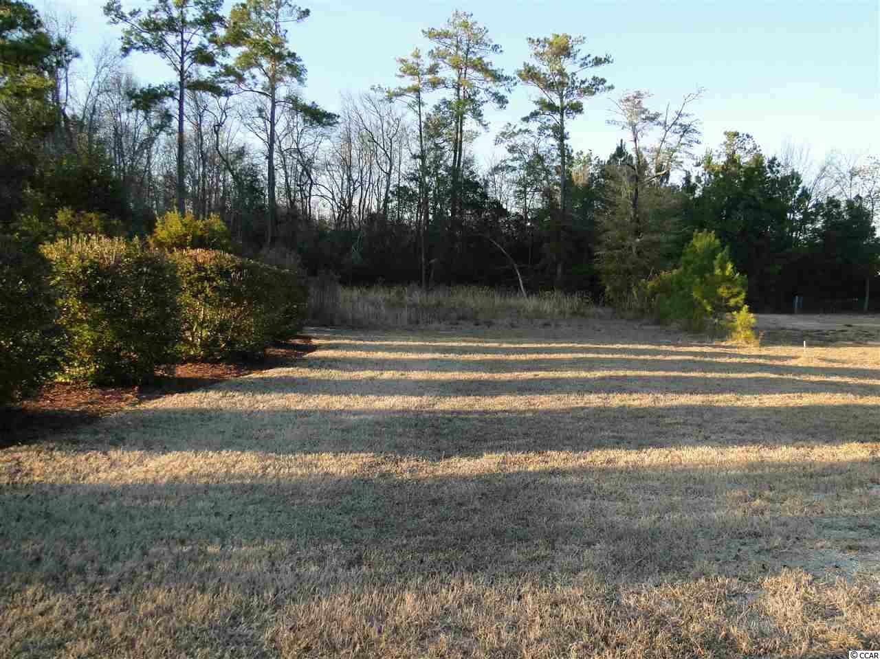 165 Chippewa Ln. Georgetown, SC 29440