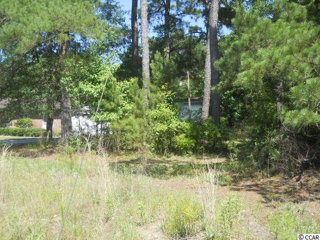 Lot 12 Highway 905 Conway, SC 29526