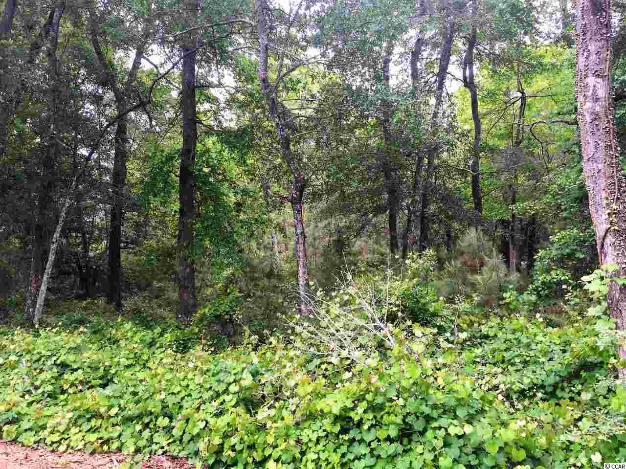 Lot #2 Live Oak Dr. Little River, SC 29566