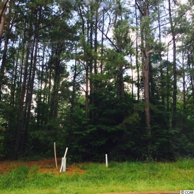 Lot 25 Twinbrook Ct. Conway, SC 29526