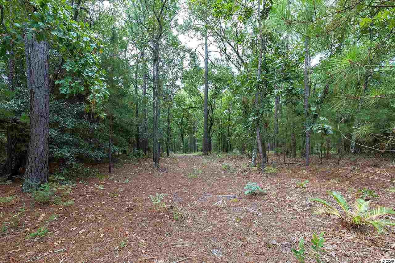 Lot 26 Deer Meadow Ln. Pawleys Island, SC 29585