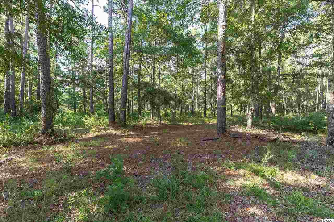 Lot 98 Vanderbilt Blvd. Pawleys Island, SC 29585