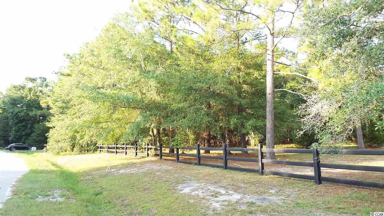 TBD Pine Top Rd. Pawleys Island, SC 29585