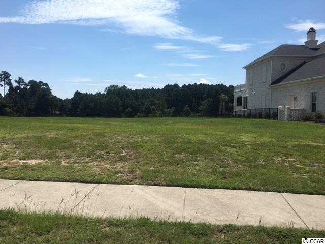 173 Ave. of the Palms Myrtle Beach, SC 29579