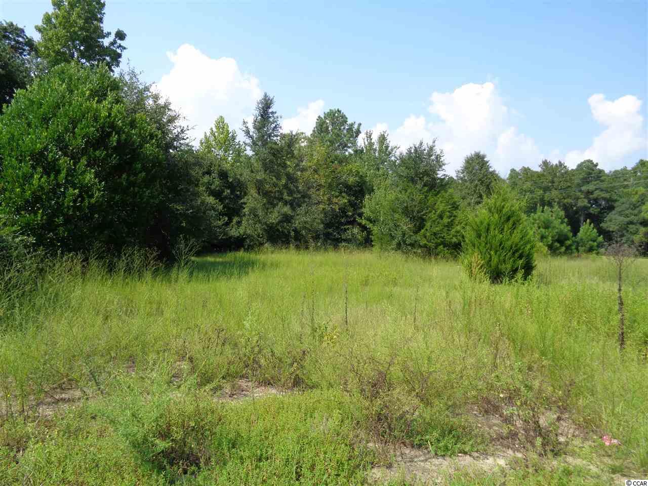 Highway 90 Longs, SC 29568