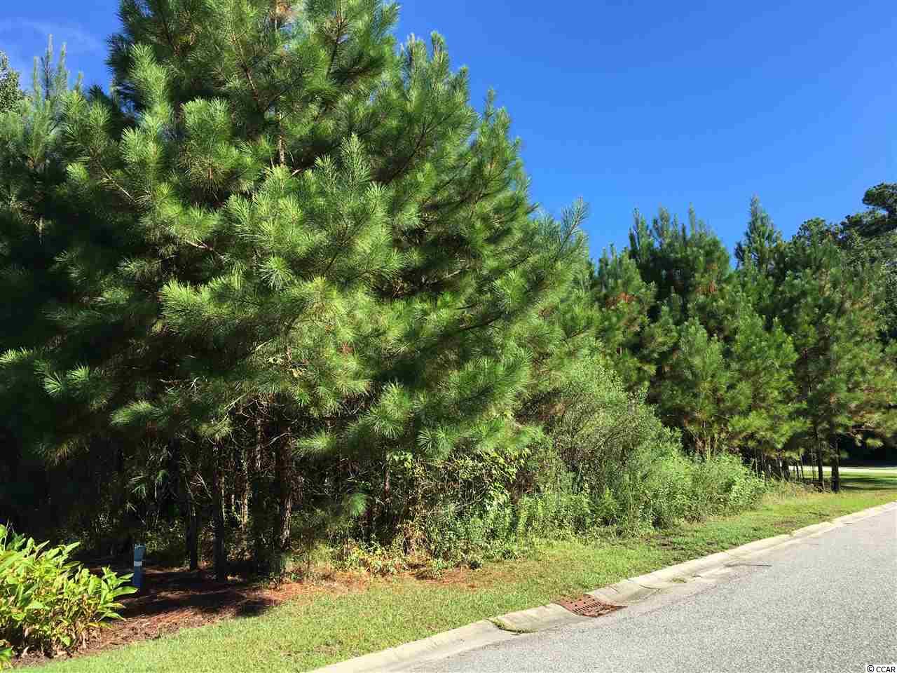 Lot 2 Carlisle Way Myrtle Beach, SC 29588