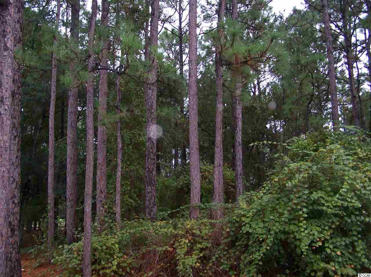 TBD Old Ashley Loop Pawleys Island, SC 29585