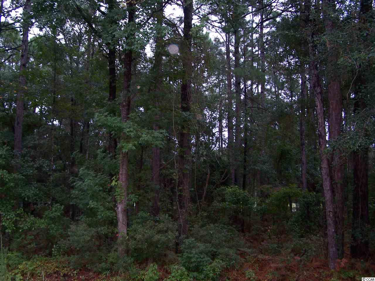 TBD Old Ashley Loop Pawleys Island, SC 29585