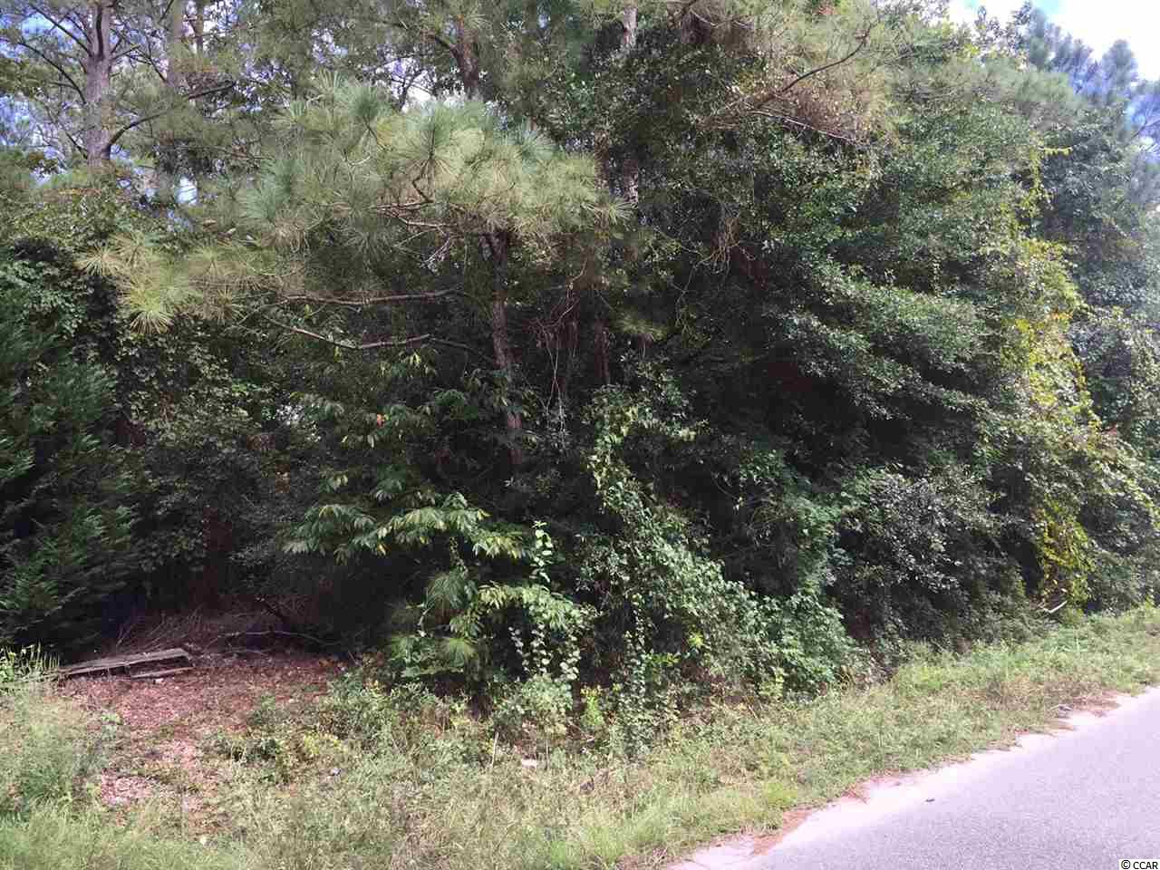 Lot 9 Mica Dr. Little River, SC 29566