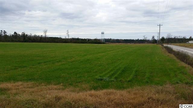 TBD Lot 4 Johnson Shortcut Rd. Conway, SC 29527