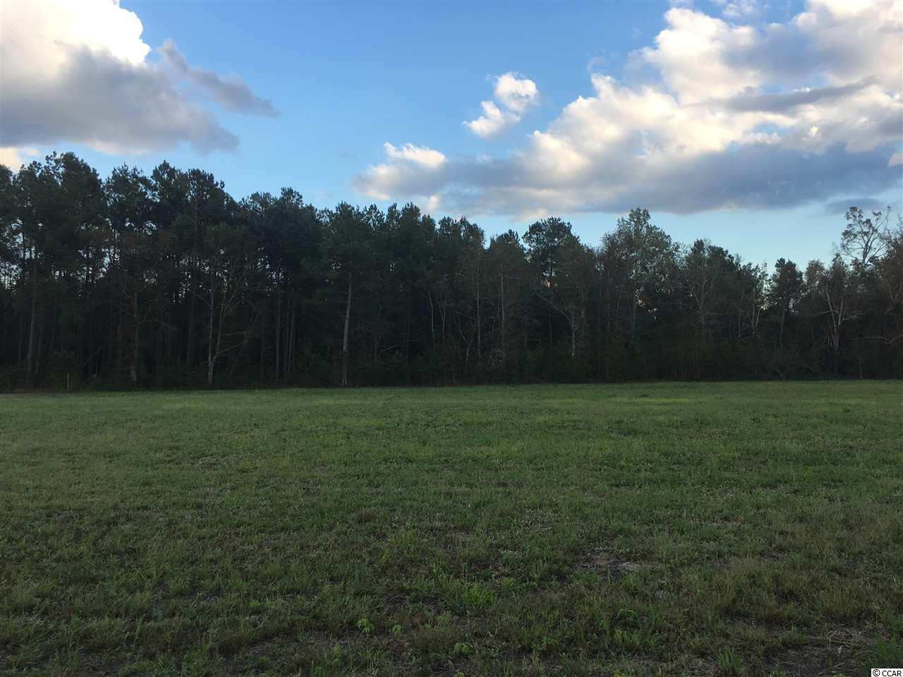 Lot 5 Broken Branch Rd. Johnsonville, SC 29555