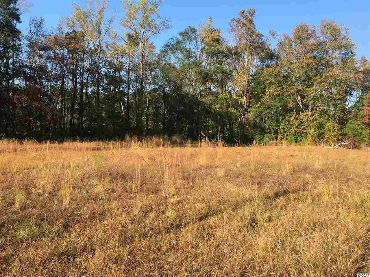489 Brood Ct. Conway, SC 29526