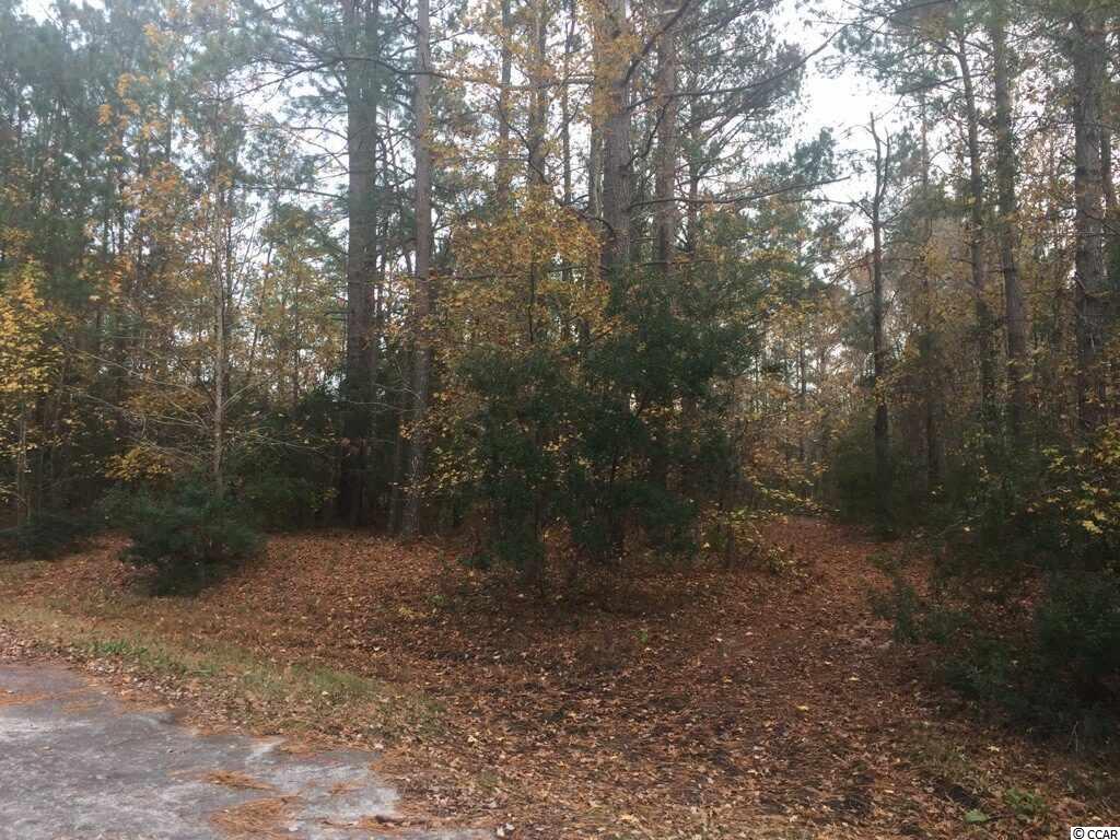 Lot 22 Twinbrook Ct. Conway, SC 29526