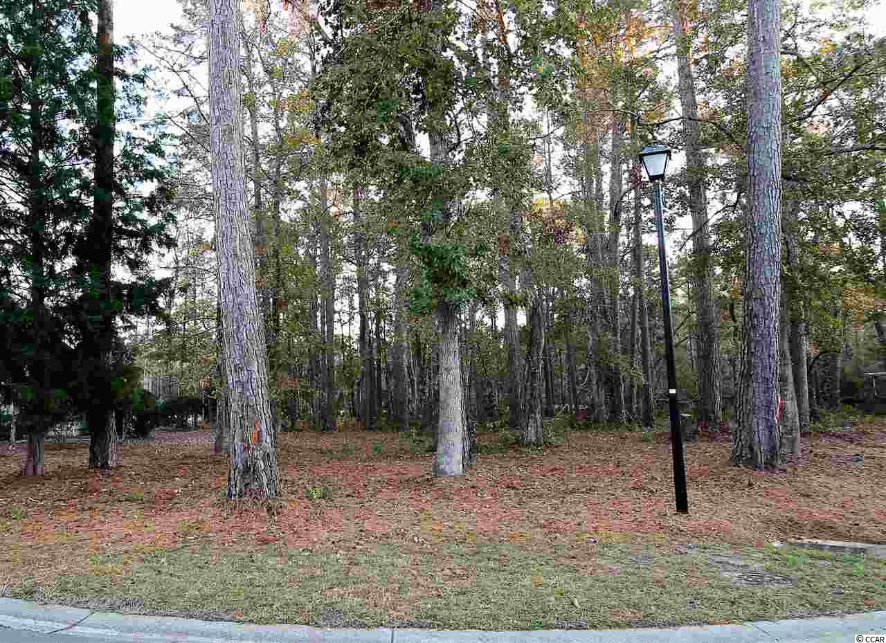 lot 26 Old Augusta Dr. Pawleys Island, SC 29585