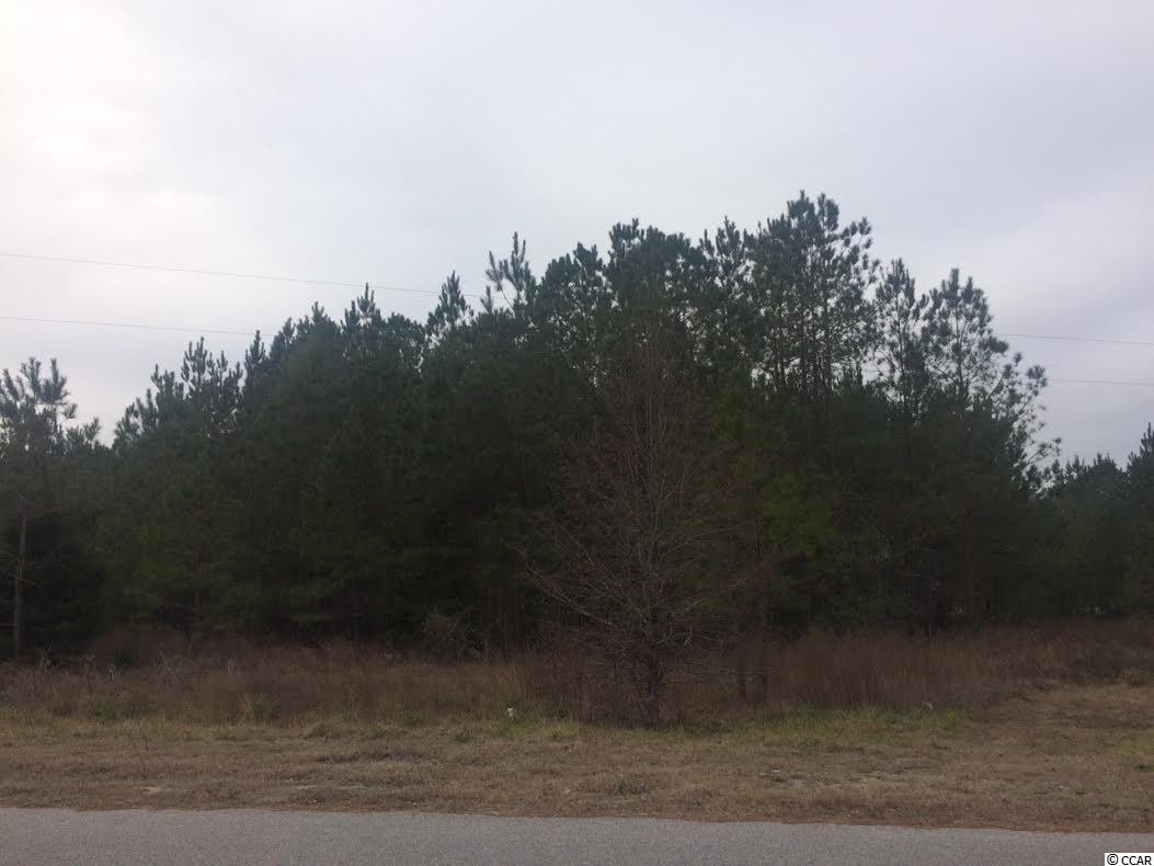 Acres Royal Circle Conway, SC 29526
