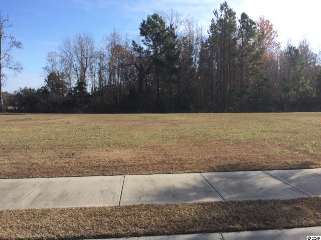 1096 E Isle of Palms Dr. Myrtle Beach, SC 29579