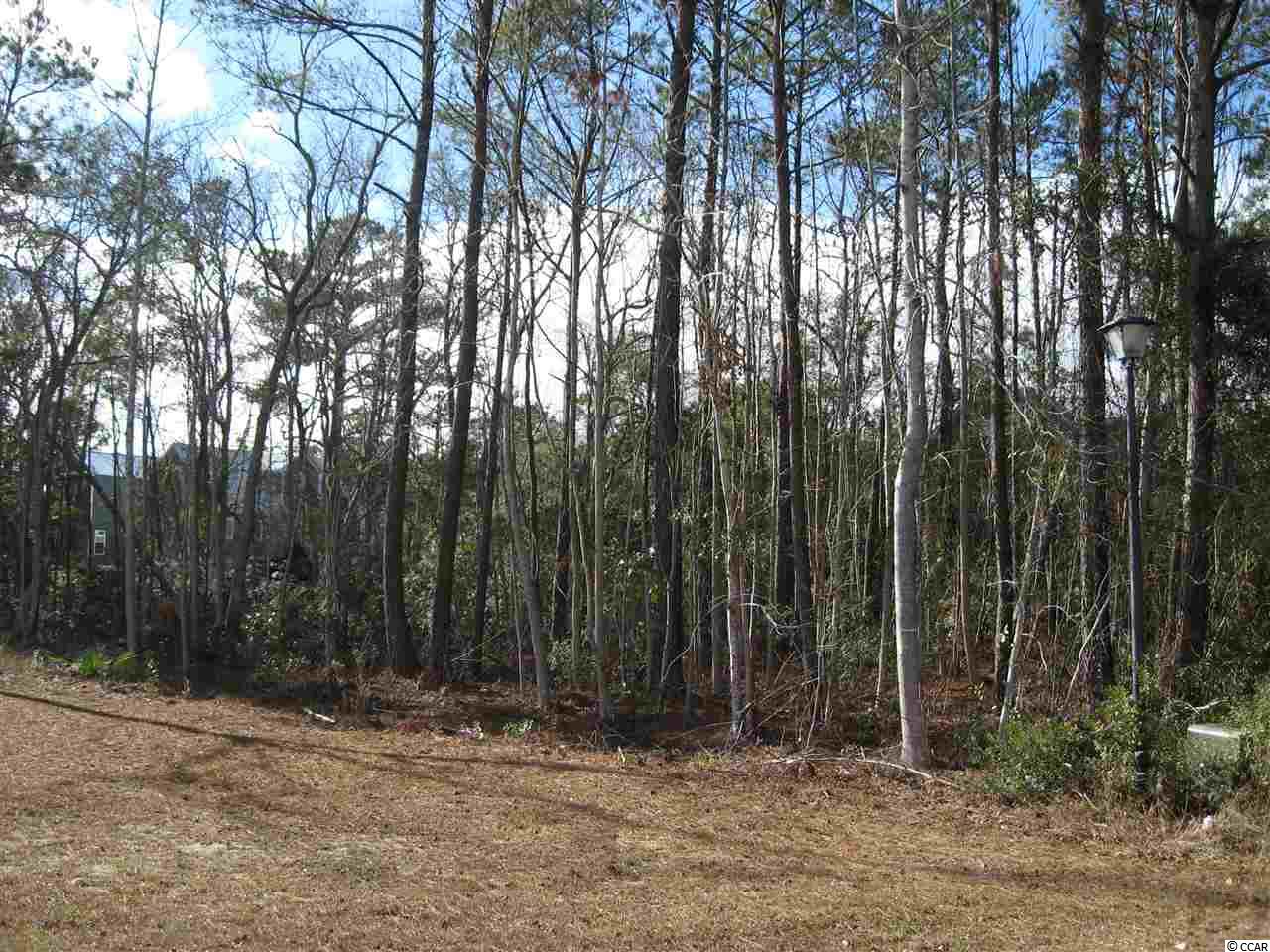 Lot 145 Trace Dr. Pawleys Island, SC 29585