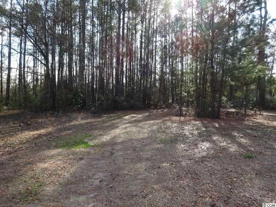 0.49 Acres Willow Springs Rd. Conway, SC 29527