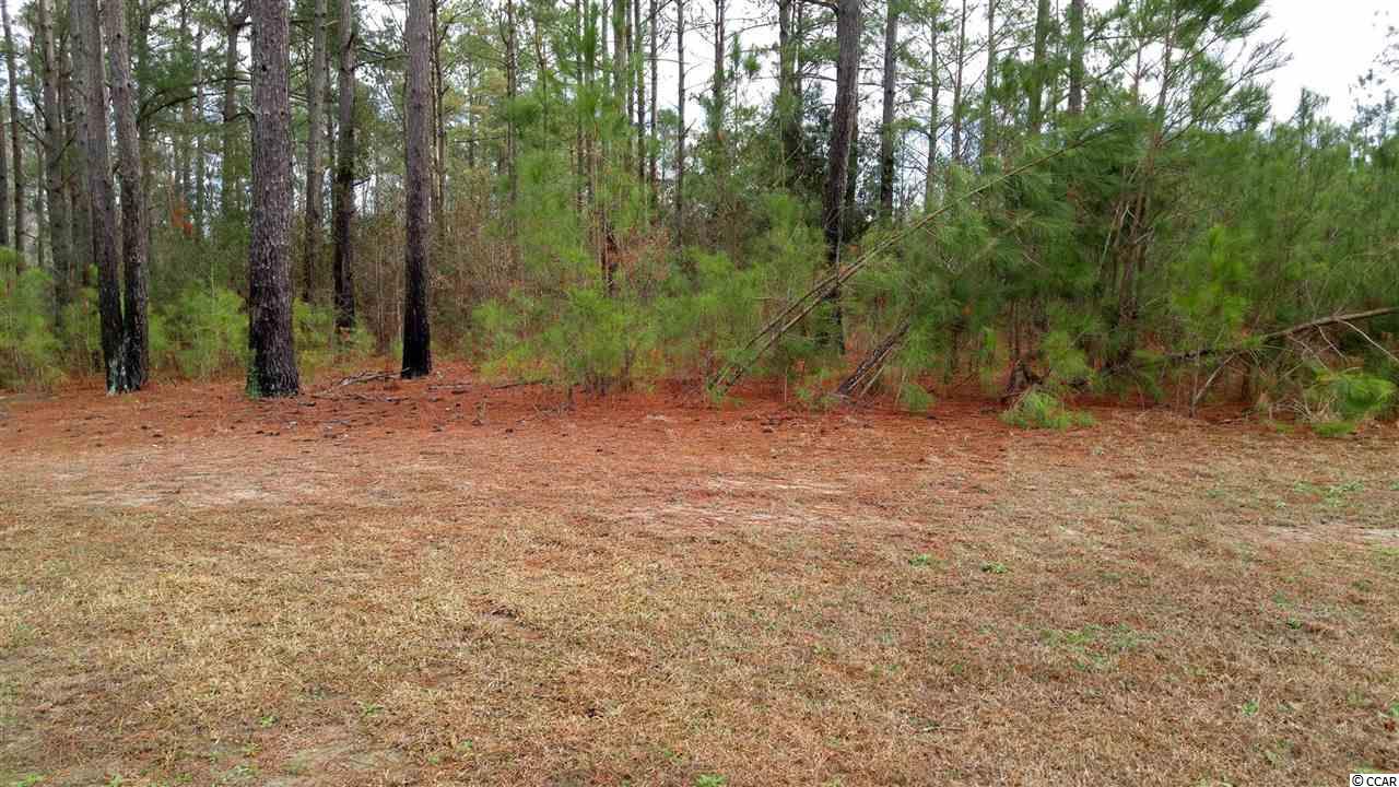 TBD Red Oak Dr. Loris, SC 29569