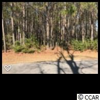 799 Collins Meadow Dr. Georgetown, SC 29440