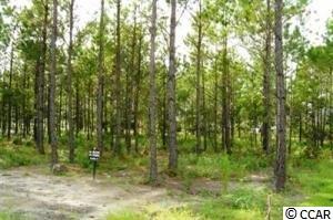 602 Wicklow Square Sw Ocean Isle Beach, NC 28469