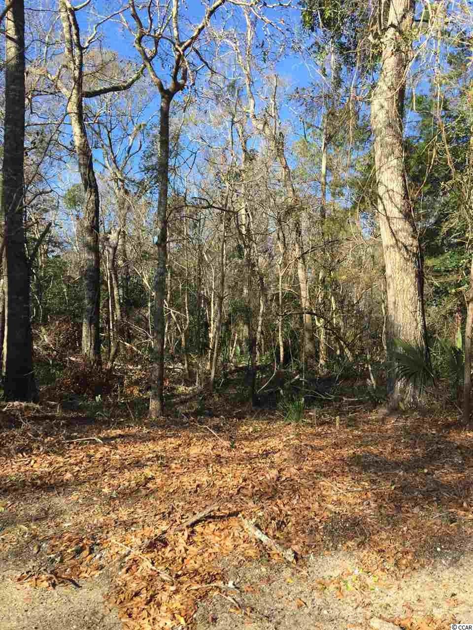 Lot 44 Old Augusta Dr. Pawleys Island, SC 29585