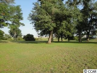 Lot 70 James Island Ave. North Myrtle Beach, SC 29582